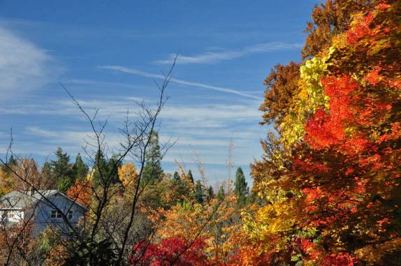 As fantásticas cores de Outono nas ruas de Ashland, no sul do Oregon, nos Estados Unidos